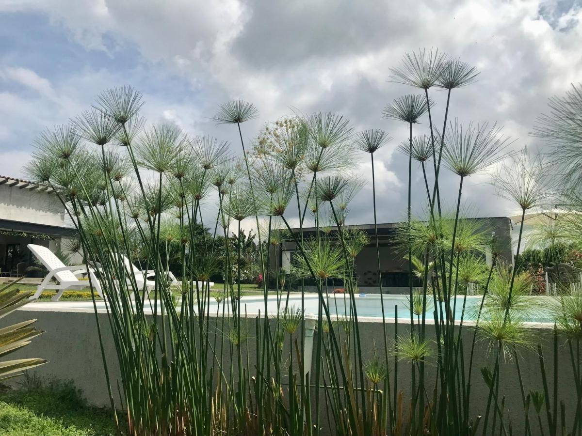 Torcaza Casa De Campo Quimbaya Εξωτερικό φωτογραφία